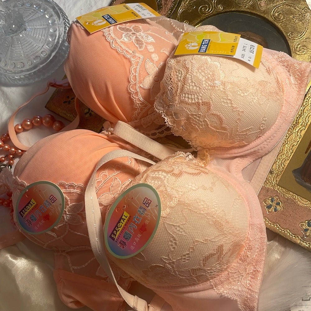 NWT 2 HANG TEN push-up padded peachy lace bras in size 34B